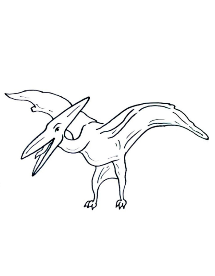 Pterodactyl Dinosaur Coloring Page