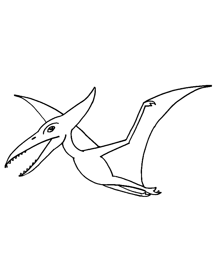 Pterodactyl Easy Favorite Dinosaurs Drawing Coloring Page