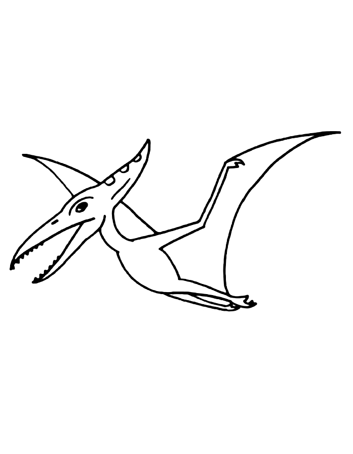 Pterodactyl Sheet Coloring Page