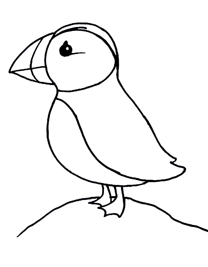 Puffin To Print Coloring Page