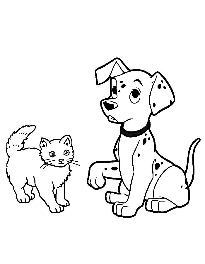 Puppy And Cat