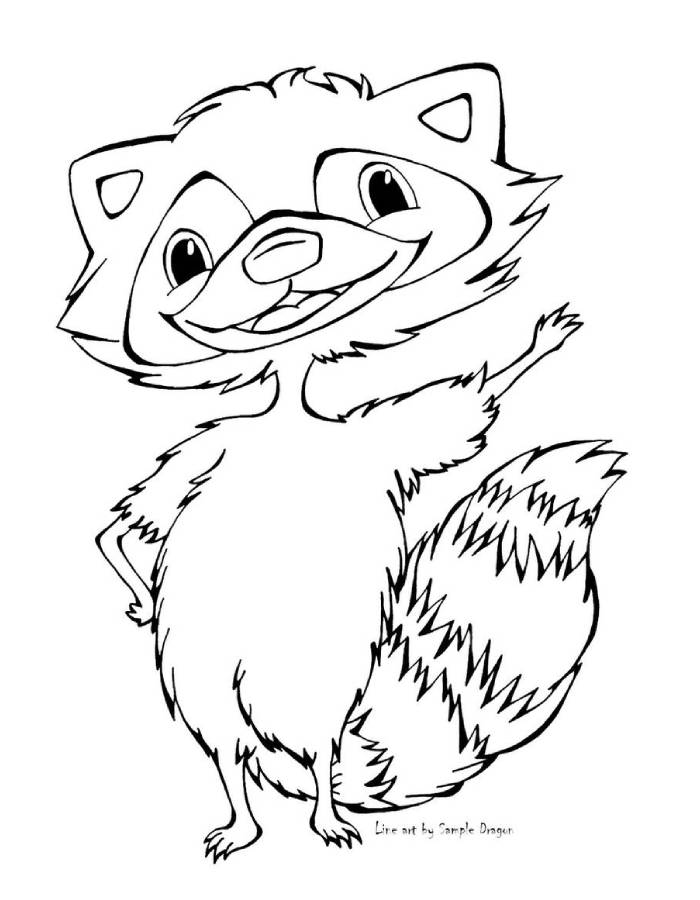 Raccoon picture coloring page - Coloring Us