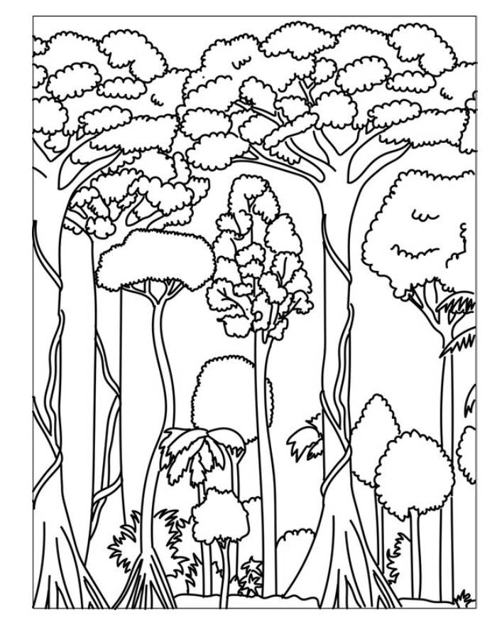 Rainforest Coloring Page