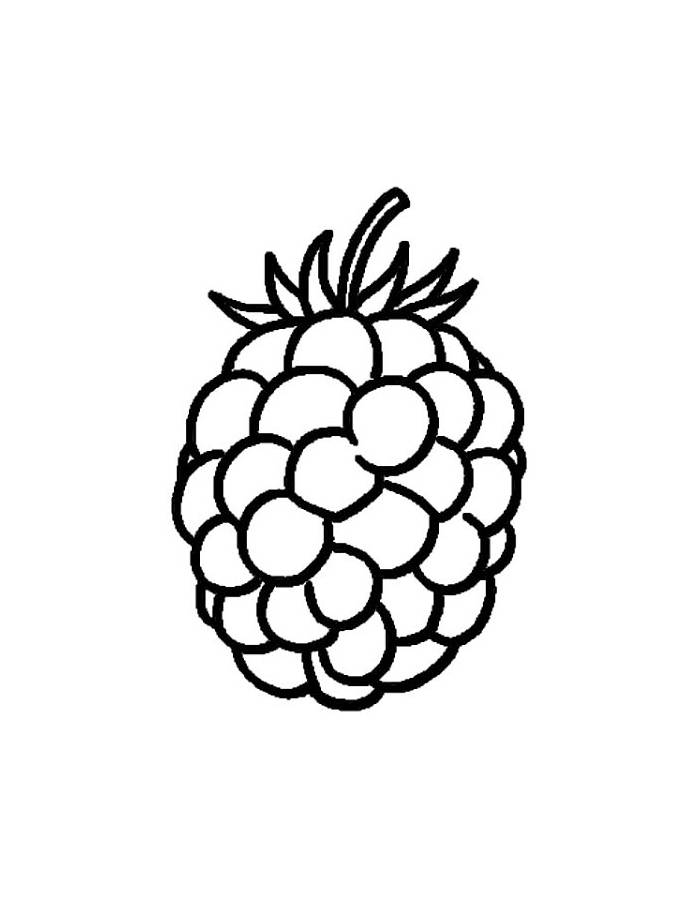 Raspberry Drawing Realistic Coloring Page