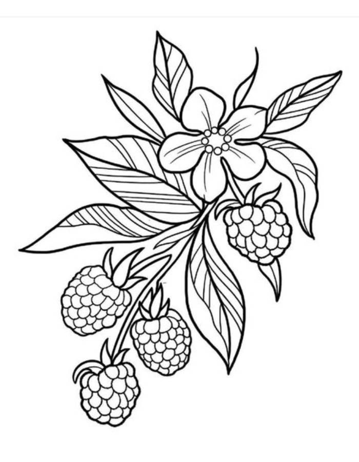 Raspberry flower and fruit