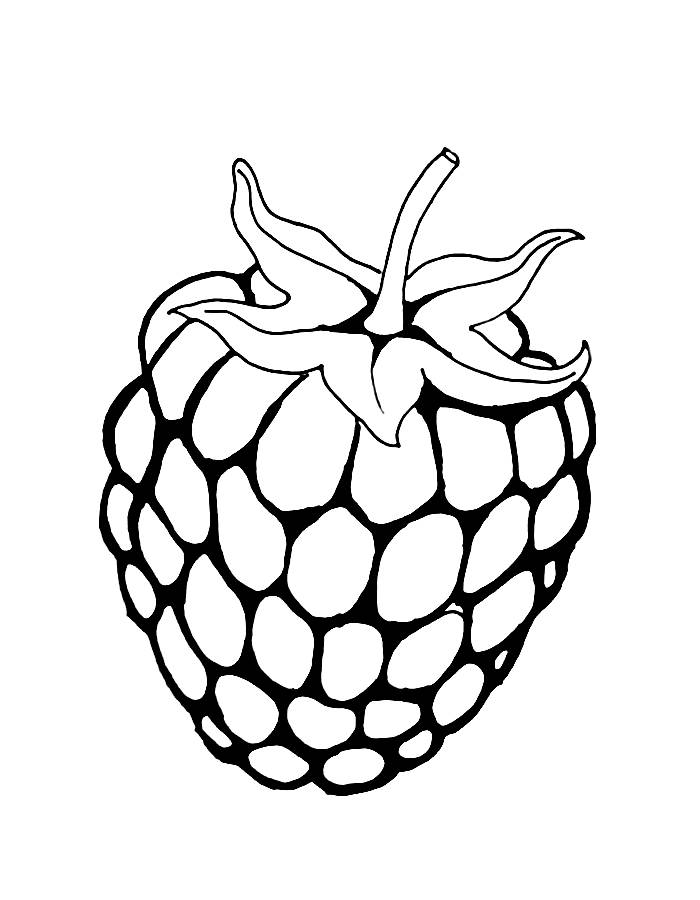 Raspberry Fruit Easy Coloring Page