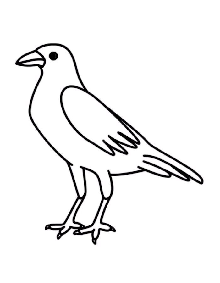 Raven Bird For Beginners Coloring Page