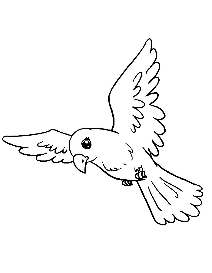 Raven In Flight Coloring Page