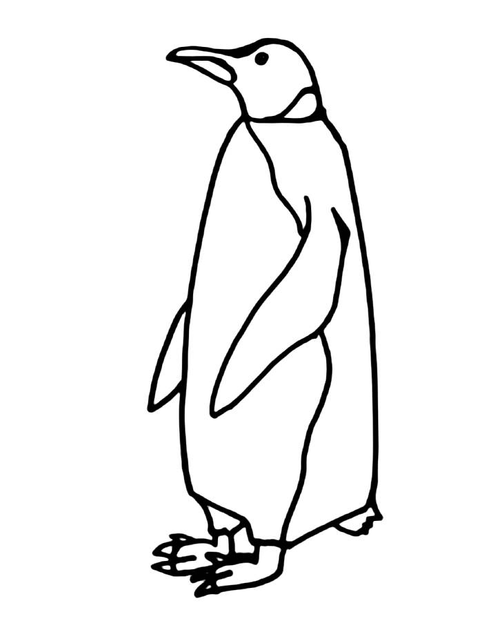 Realistic Emperor Penguin Coloring Page