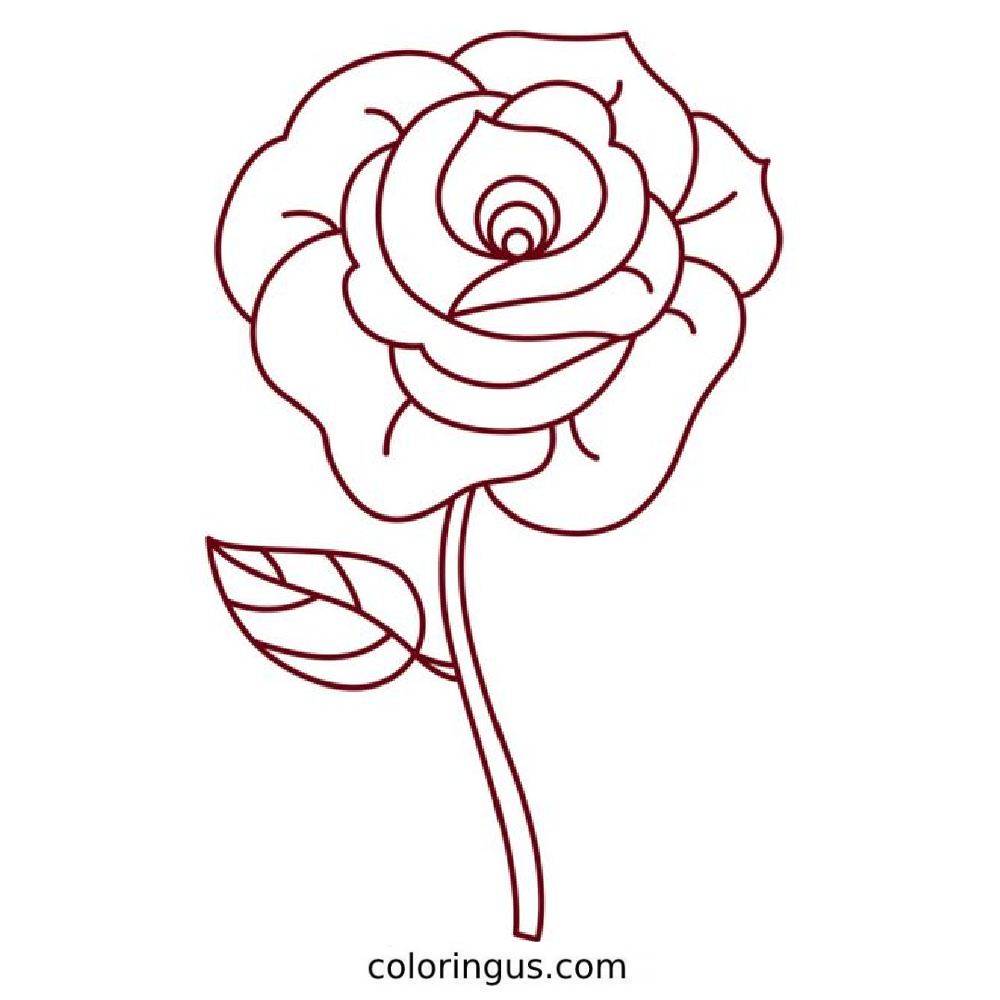 Realistic Rose Coloring Page