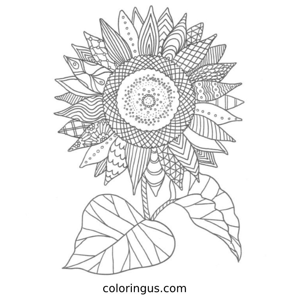 08 Beautiful Sunflower Coloring Pages For Your Kids