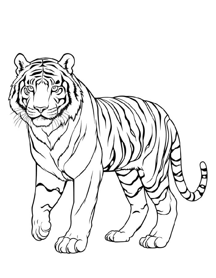 Realistic Tiger Line Art Coloring Page