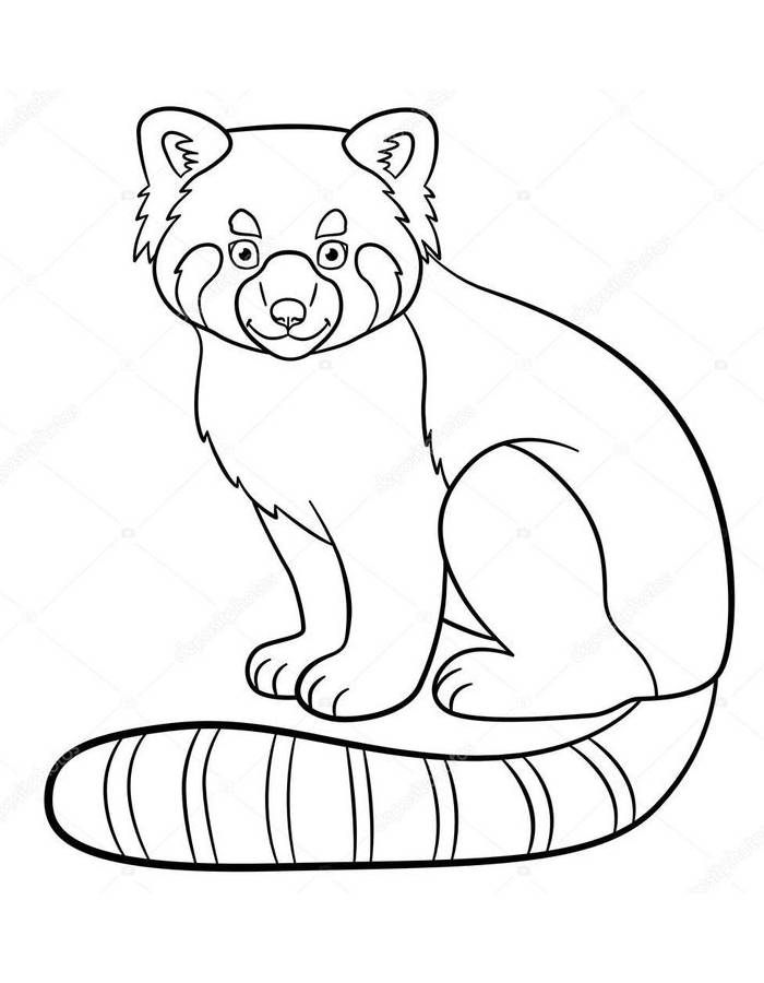 Red Panda Drawing Pdf Coloring Page