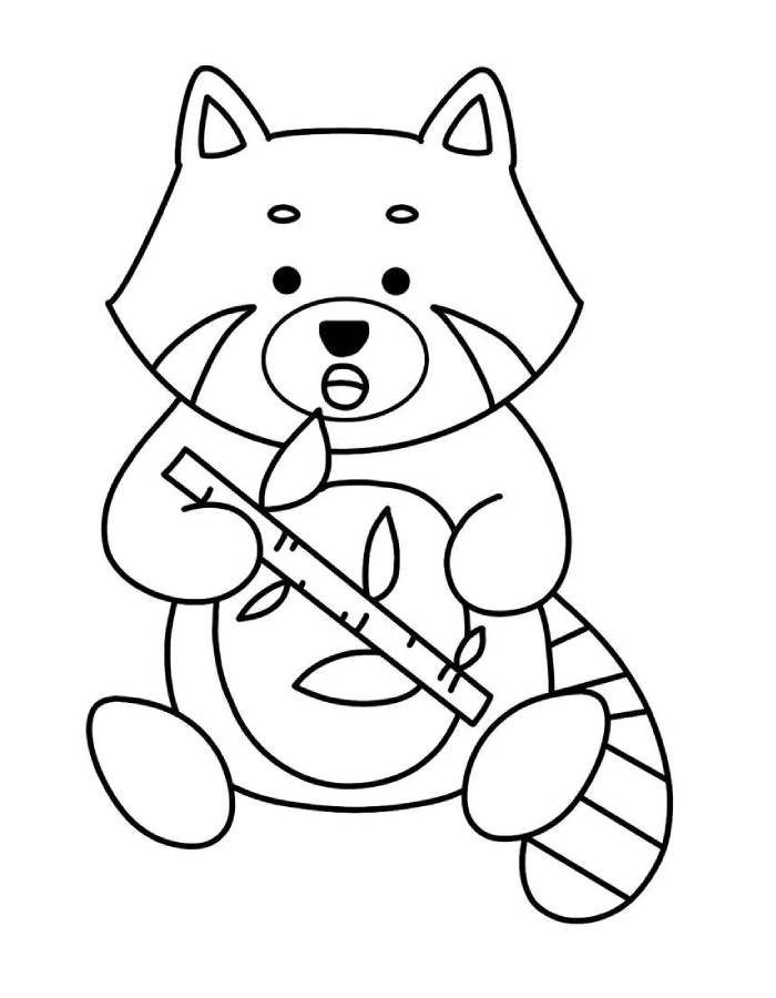 Red Panda Illustrations For Kids Coloring Page