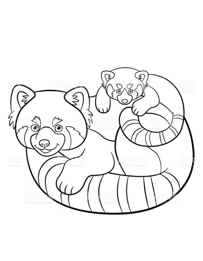 Red Panda Outline Coloring Page