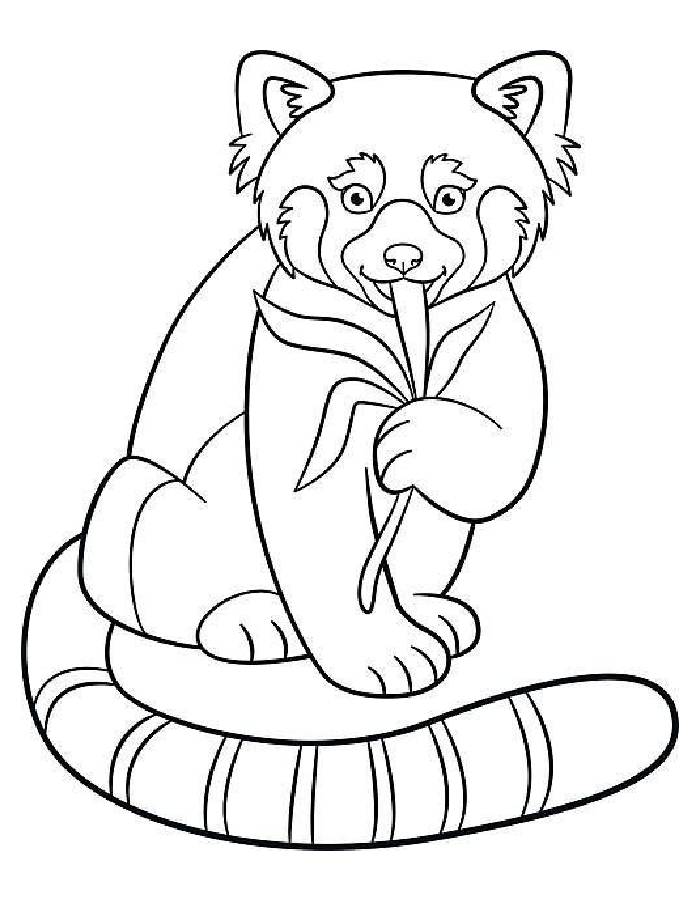 Red Panda Printable Coloring Page