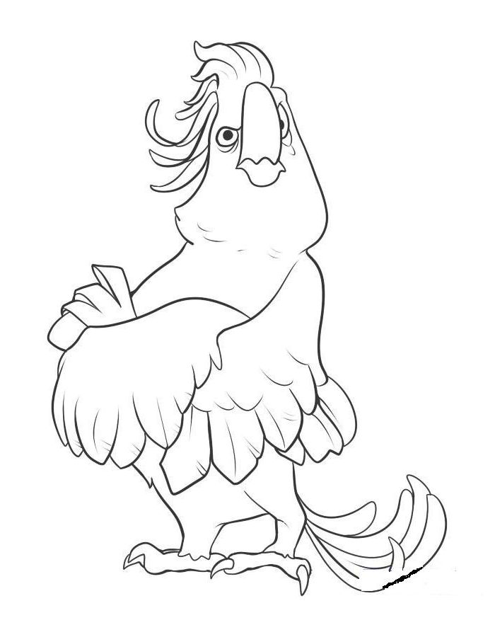 Rio Image For Kids