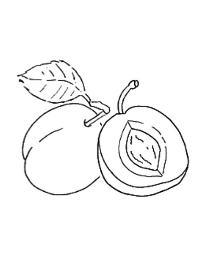 Ripe Plum Coloring Page