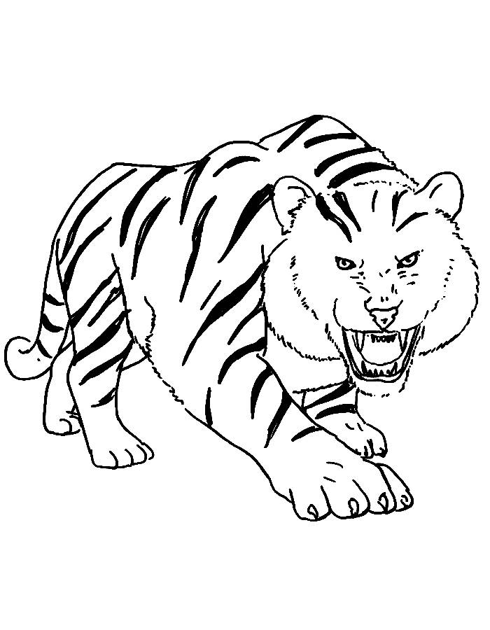 Roaring Jungle Tiger For Kids To Color Free Coloring Page