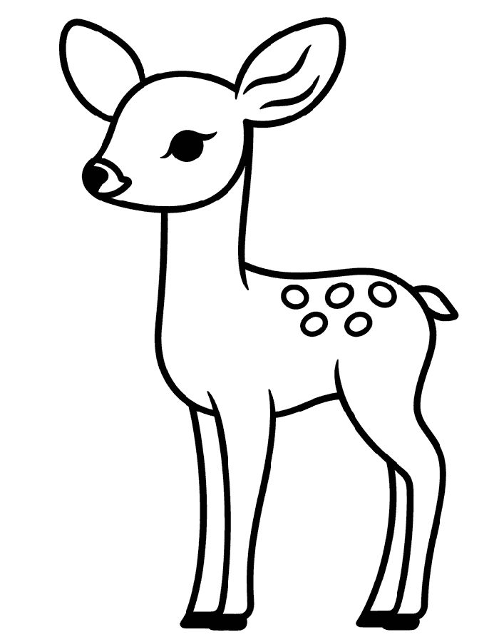 Roe Deer Coloring Page