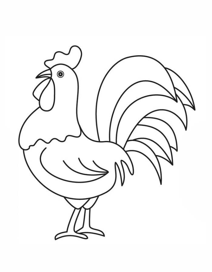 Rooster Easy Drawings