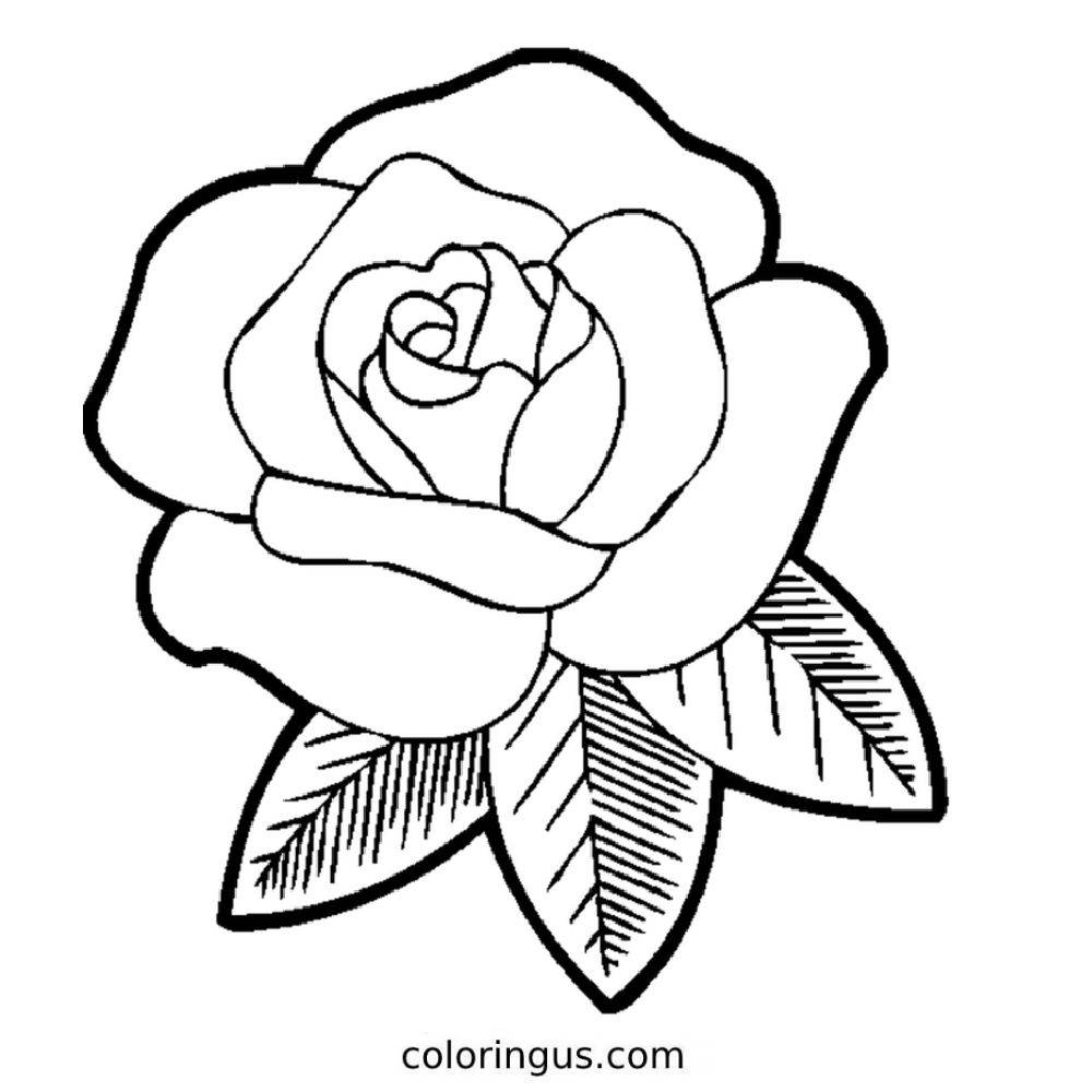 Beautiful Rose Flower For Girls Coloring Page