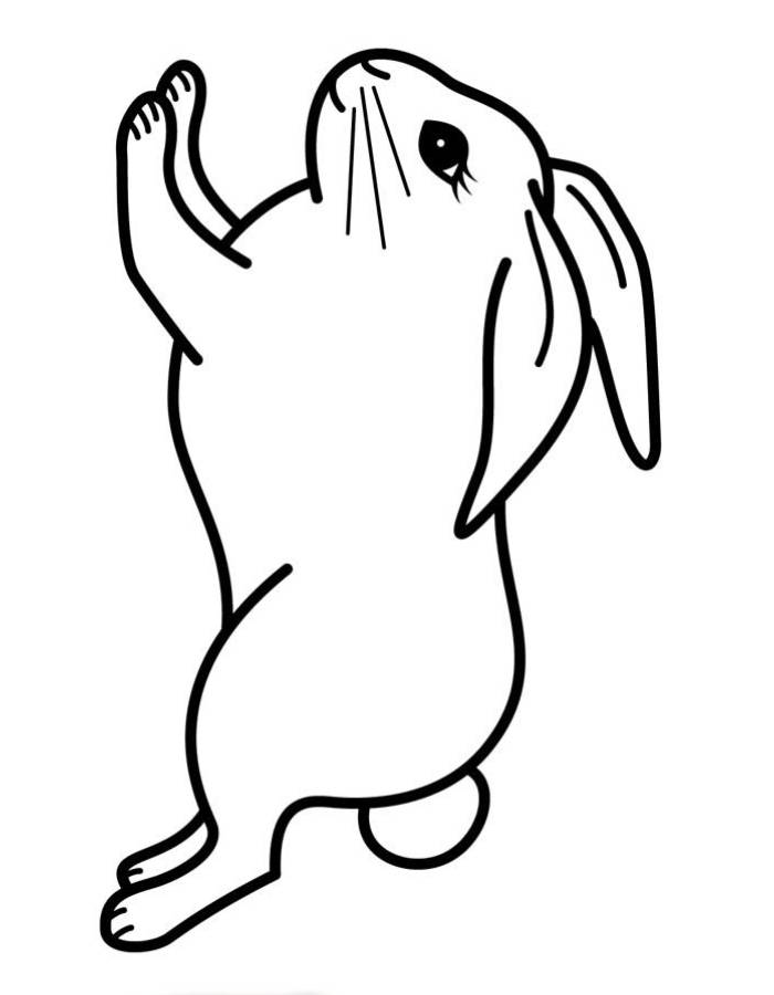 Running Bunny Coloring Page