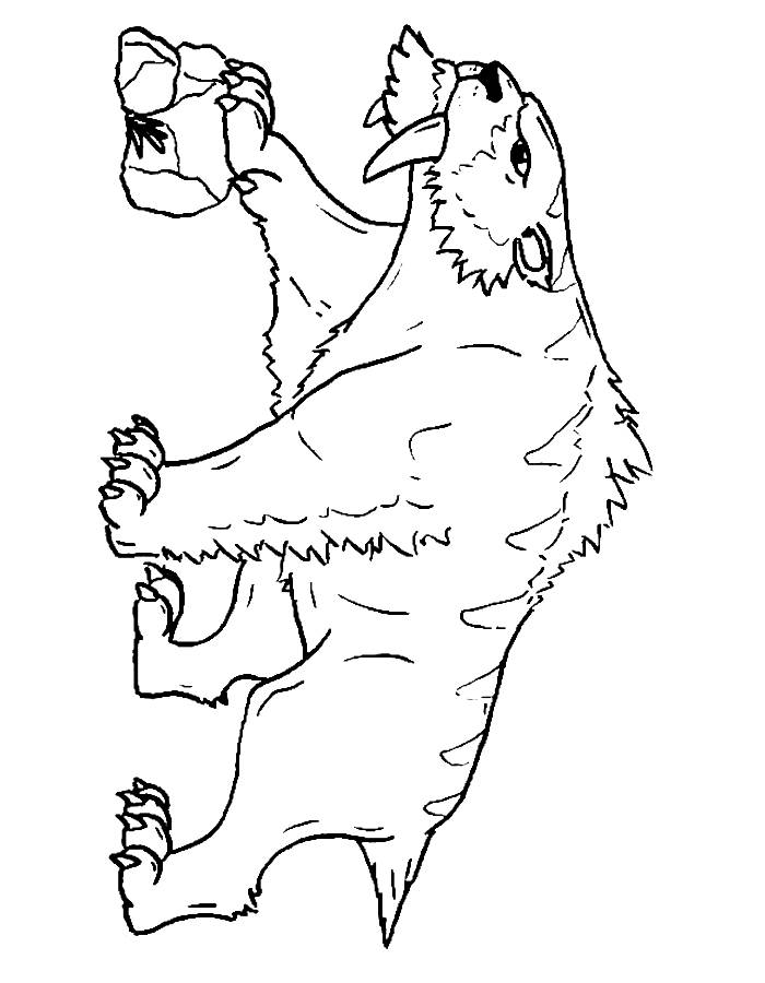 Saber Tooth Tiger Coloring Page