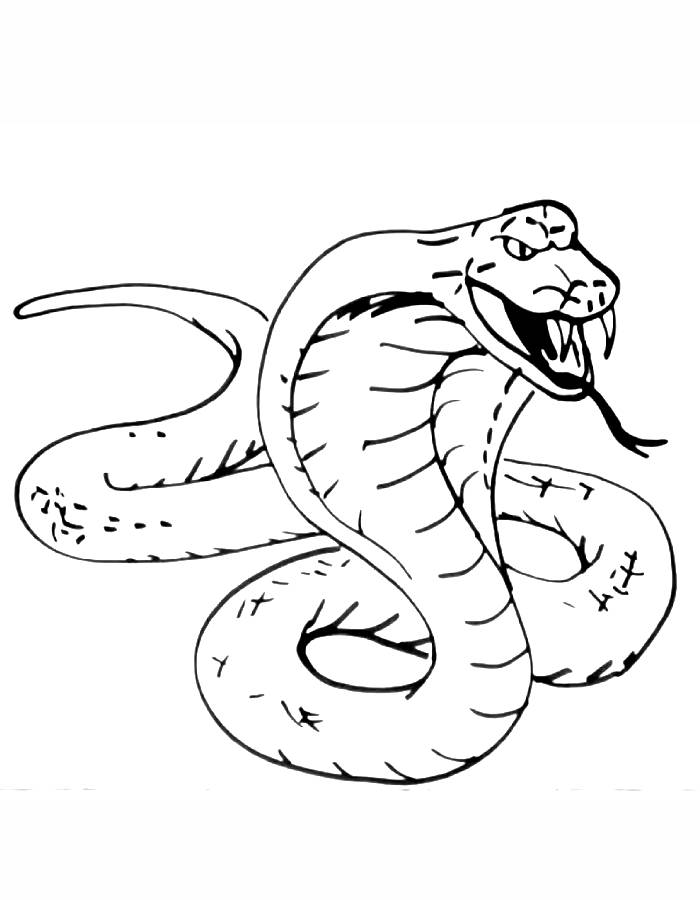 Snake Coloring Pages (Free Printable PDF Sheets)