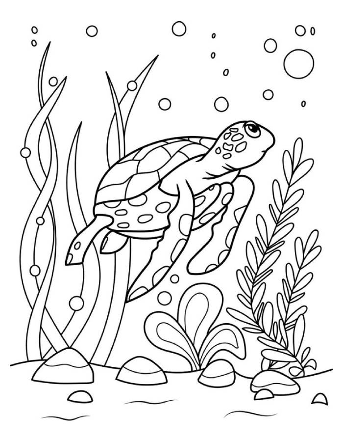 Sea Turtle Line Art Pdf Coloring Page