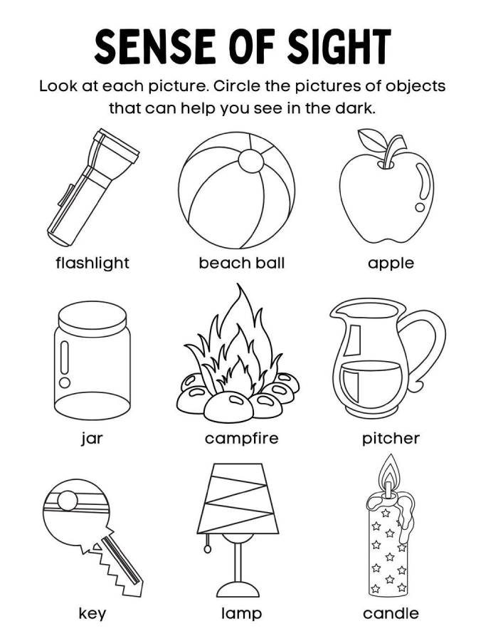 Sense Of Sight Worksheet Coloring Page