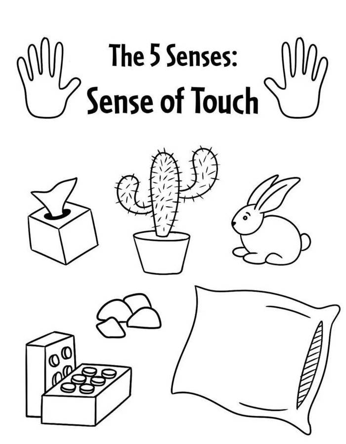 Sense Of Touch Coloring Page