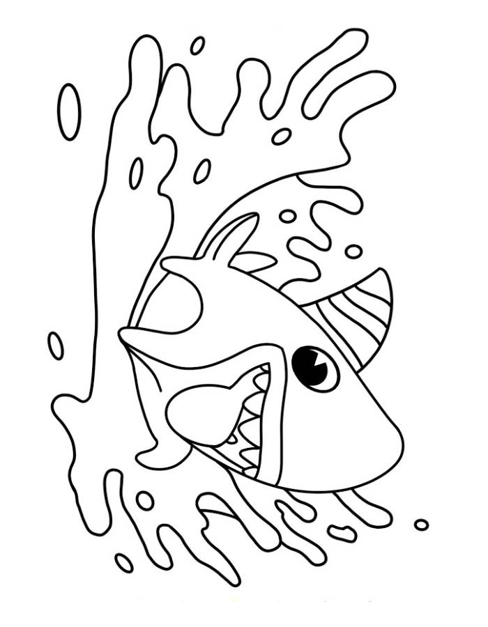 Shark Dog Coloring Page