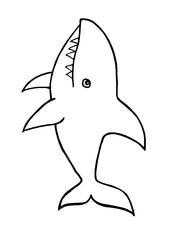 Shark Pics To Color