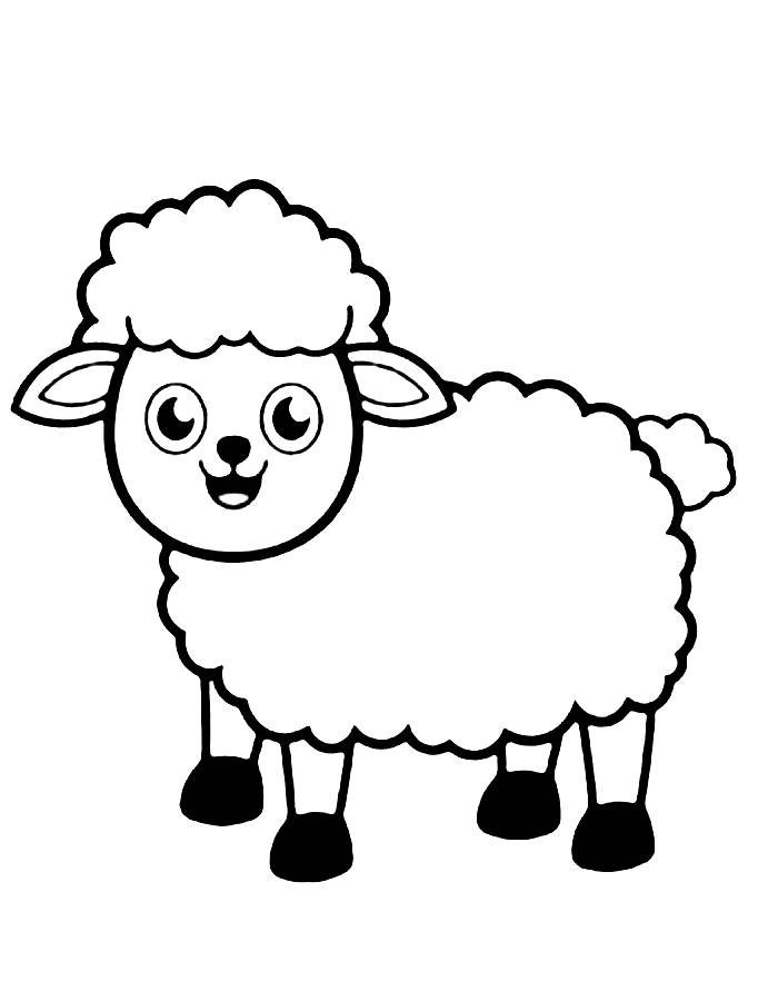 Sheep Cartoon Drawing Coloring Page