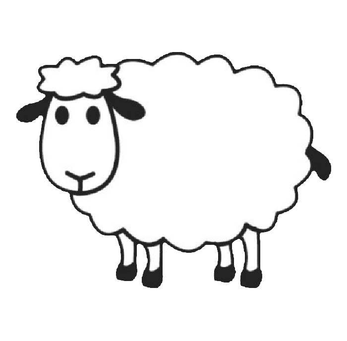 Sheep Picture Coloring Page