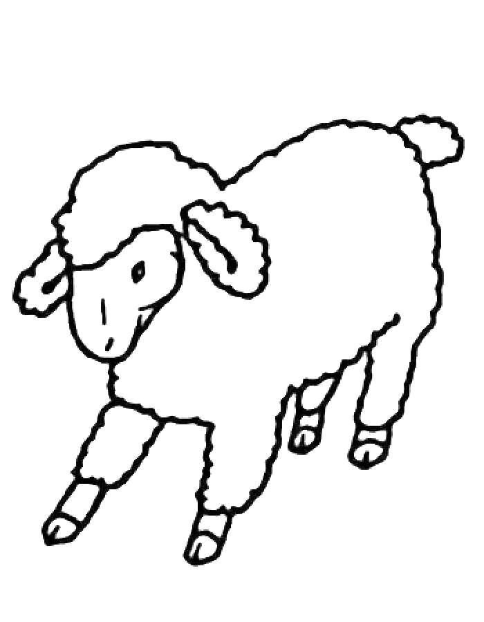 Sheep Farm Animals Easy Drawing Coloring Page