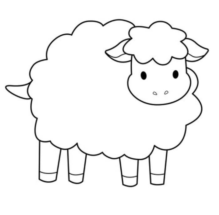 Sheep Printable