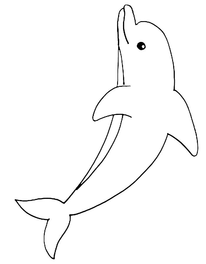 Sheets Of Dolphins Coloring Page