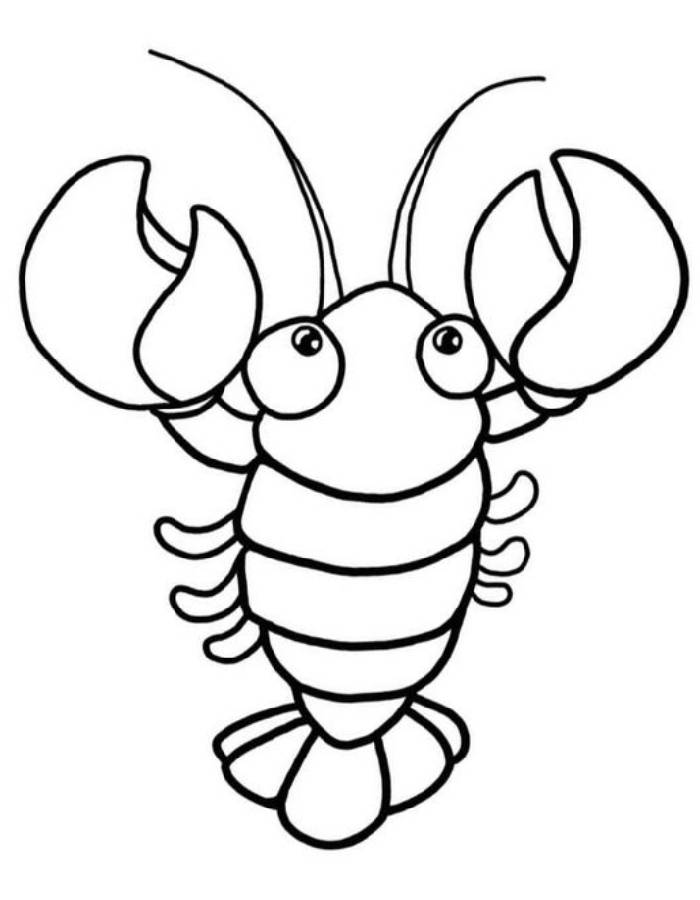 Printable Shrimp Coloring Page