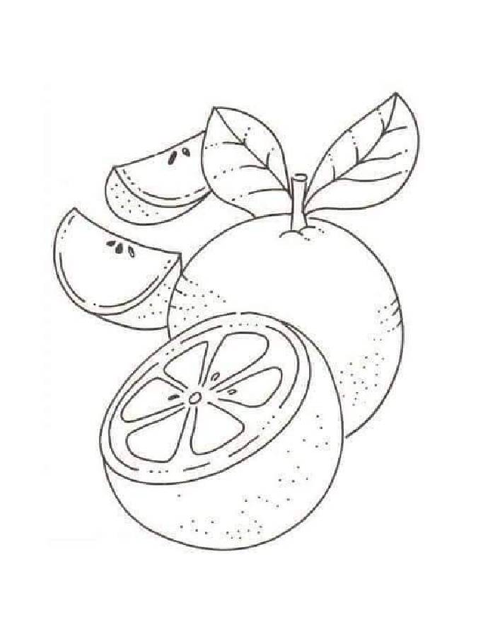 Simple Grapefruit Coloring Page