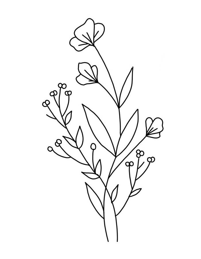 Simple Line Art Coloring Page