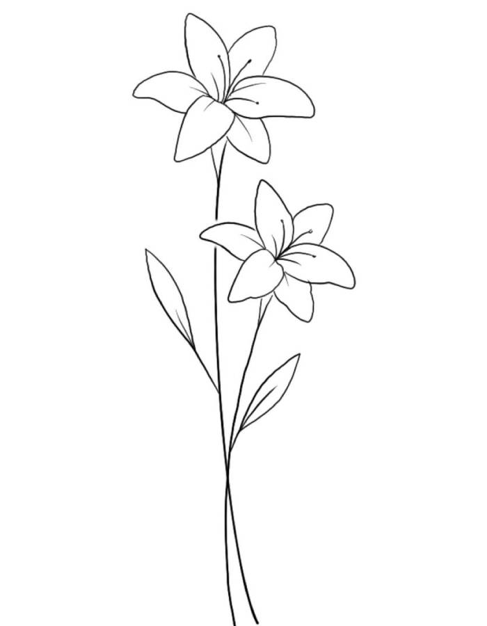 Simple Pictures Coloring Page