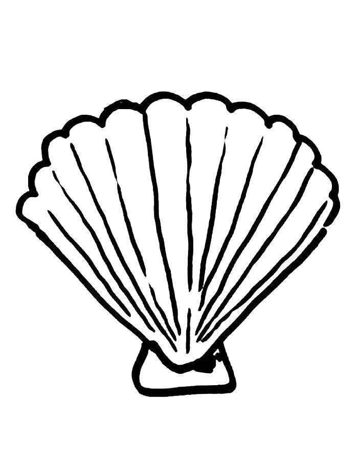 Simple Seashell Coloring Page