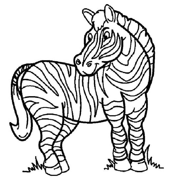 Simple zebra