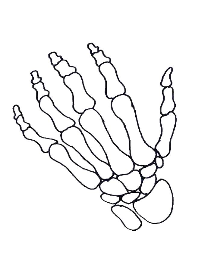 Skeleton Hand Coloring Page