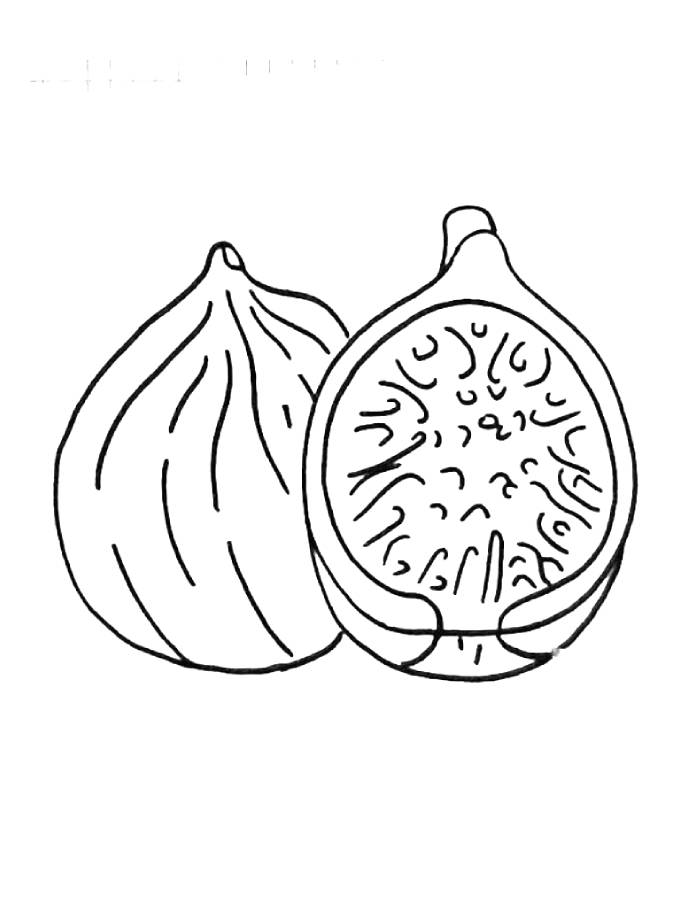 Sketch Drawing Of Fig Fruit Coloring Page