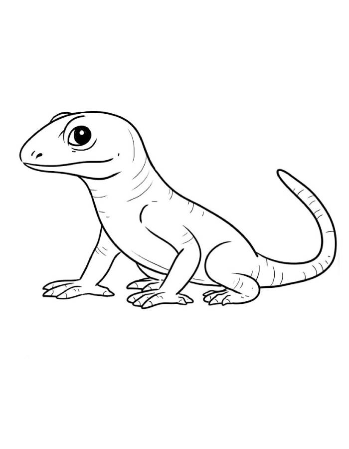 Skink Reptiles Coloring Page