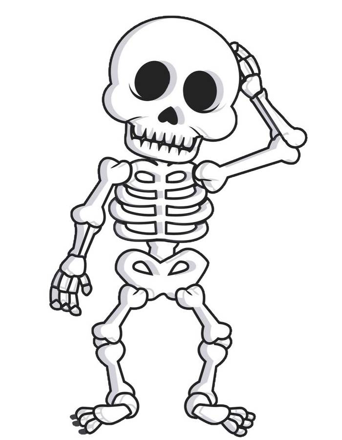 Skull For Adults