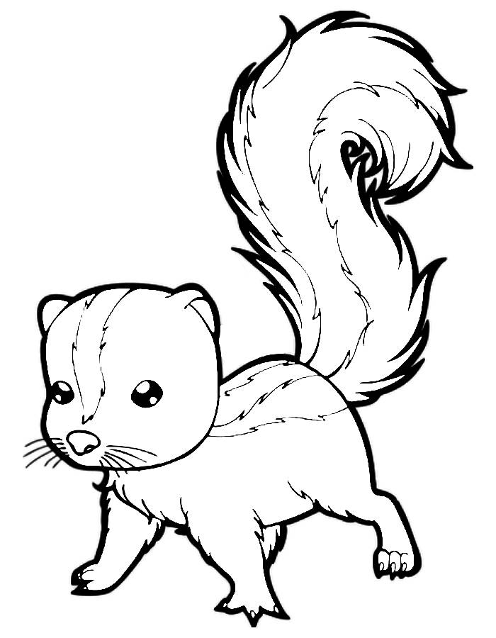 Skunk Coloring Page